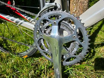 Used Bianchi Via Nirone 7 Alu Carbon mit Ultegraa Vollausstattung 2006 Road & Gravel, White — image 6 of 11