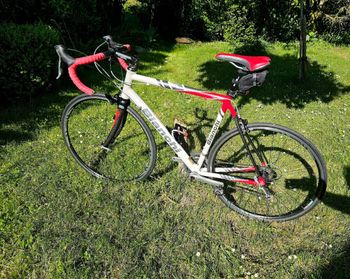 Used Bianchi Via Nirone 7 Alu Carbon mit Ultegraa Vollausstattung 2006 Road & Gravel, White — image 1 of 11