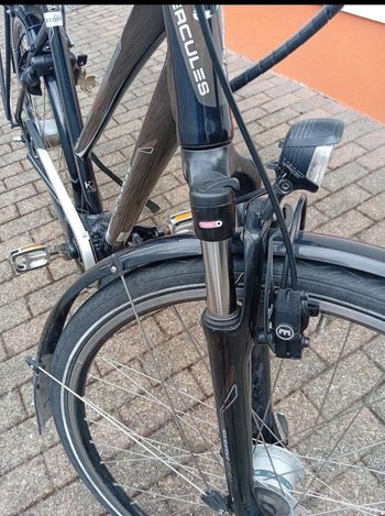 Used Hercules Roberta 8 Pro Custom Shimano Nexus Hub Gear 2014 Urban, Black — image 2 of 5