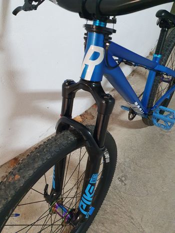 Použité Rose Bruce Single Speed / Fixed Gear 2022 Mountainbike — obrázek 5 z 10
