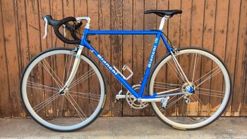 Bianchi columbus genius Custom Shimano 600 1996 Road & Gravel usato, Blu — immagine 2 di 13