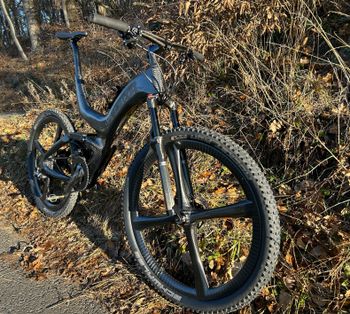 Storck Organic Light 2002 Mountainbike usato, Nero — immagine 6 di 13