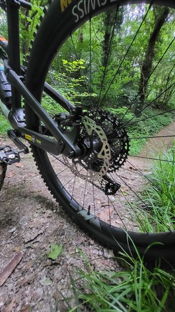 Used Canyon Neuron CF 9 2024 2024 Mountainbike, Light Gray, 27.5, 29 — image 2 of 3