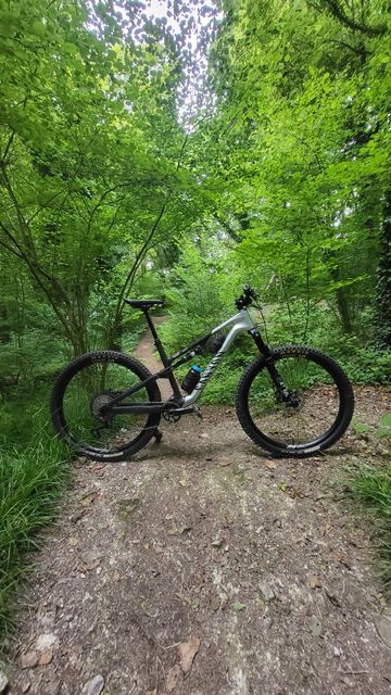 Used Canyon Neuron CF 9 2024 2024 MTB