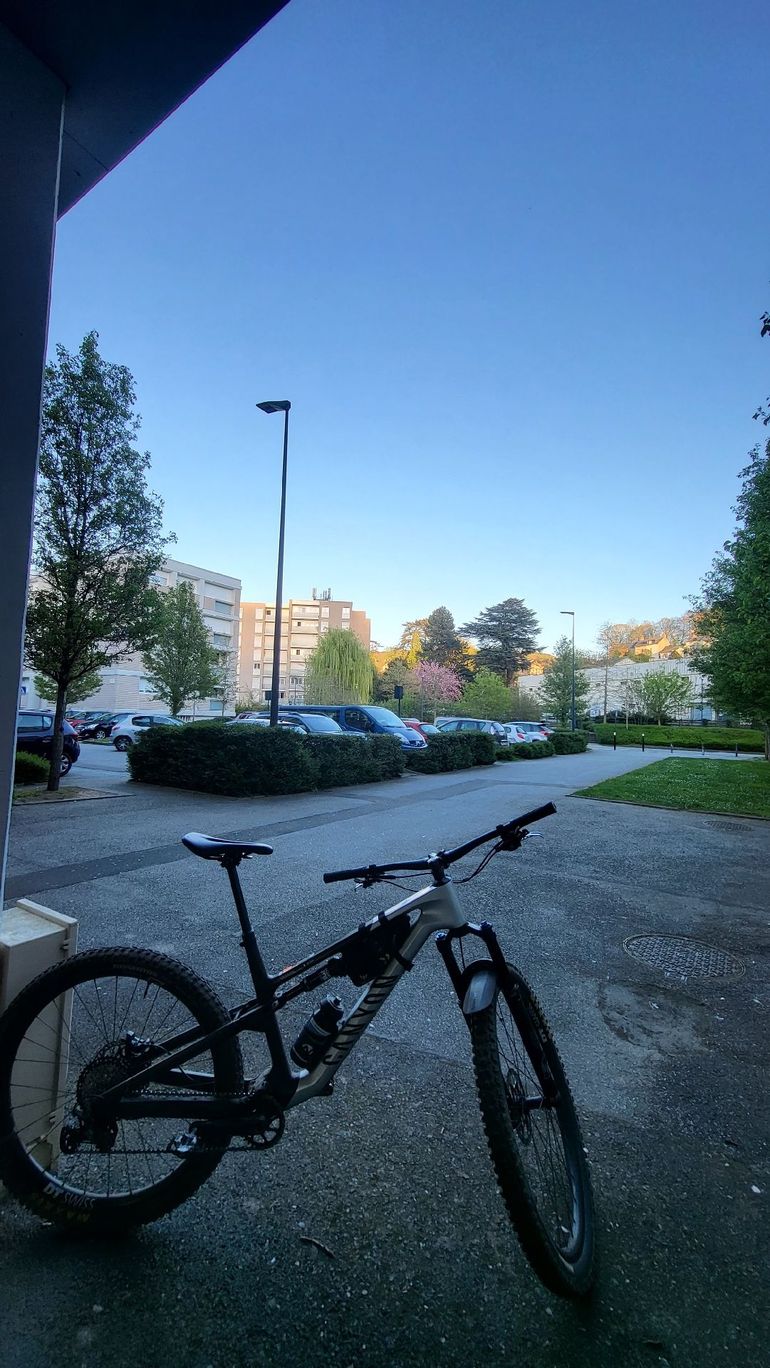 Used Canyon Neuron CF 9 2024 2024 Mountainbike, Light Gray, 27.5, 29 — image 5 of 5
