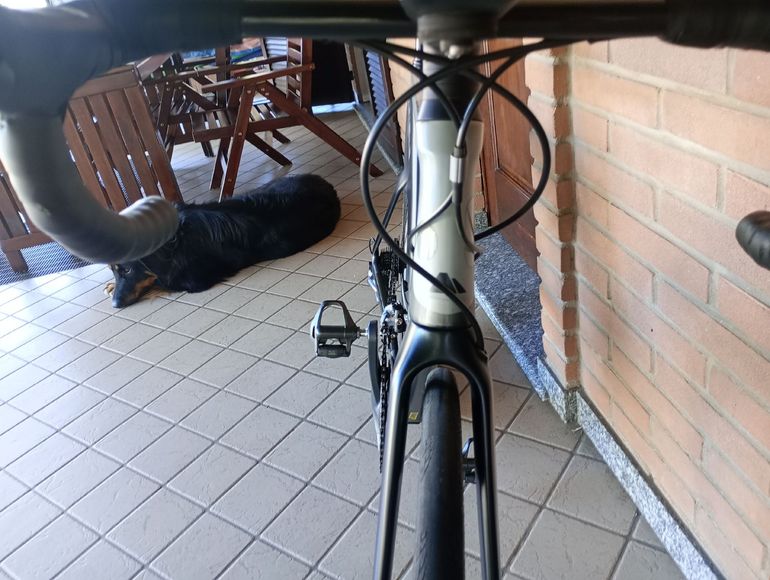 Tweedehands Canyon Aeroad Shimano Ultegra 2021 Road & Gravel — afbeelding 29 van 35