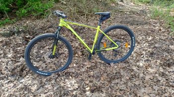 Used Scott Scale 970 2024 2024 Mountainbike, Orange, 29 — image 1 of 9