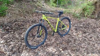 Used Scott Scale 970 2024 2024 Mountainbike, Orange, 29 — image 8 of 9
