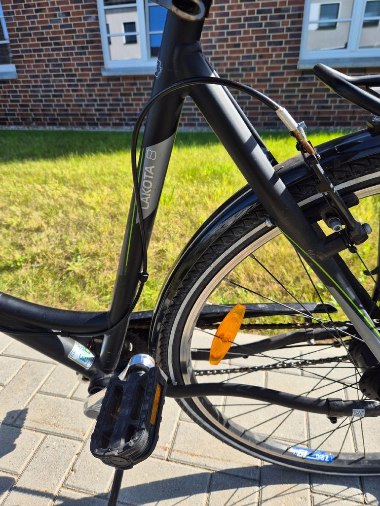 Used Pegasus Custom Urban, Black — image 3 of 6