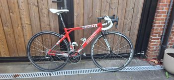 Used BMC Roadmachine Campagnolo Chorus 2014 Road & Gravel, Red — image 1 of 4
