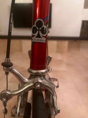 Used colango Junior 1984 1984 Road & Gravel, Red — image 4 of 9