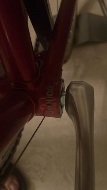 Used colango Junior 1984 1984 Road & Gravel, Red — image 8 of 9