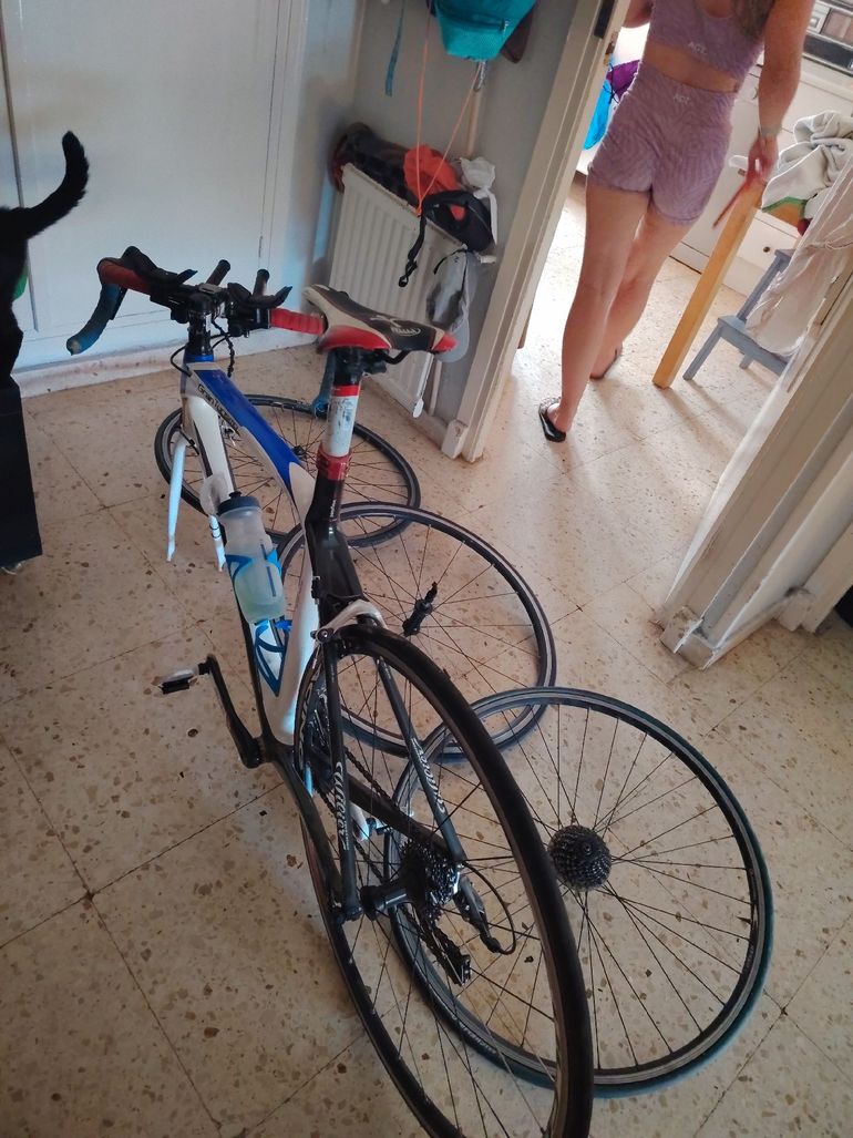 Wilier Gran Turismo SRAM Force eTap AXS 2015 Road & Gravel usato, Bianco — immagine 6 di 8