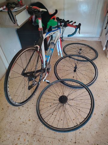 Wilier Gran Turismo SRAM Force eTap AXS 2015 Road & Gravel usato, Bianco — immagine 7 di 8