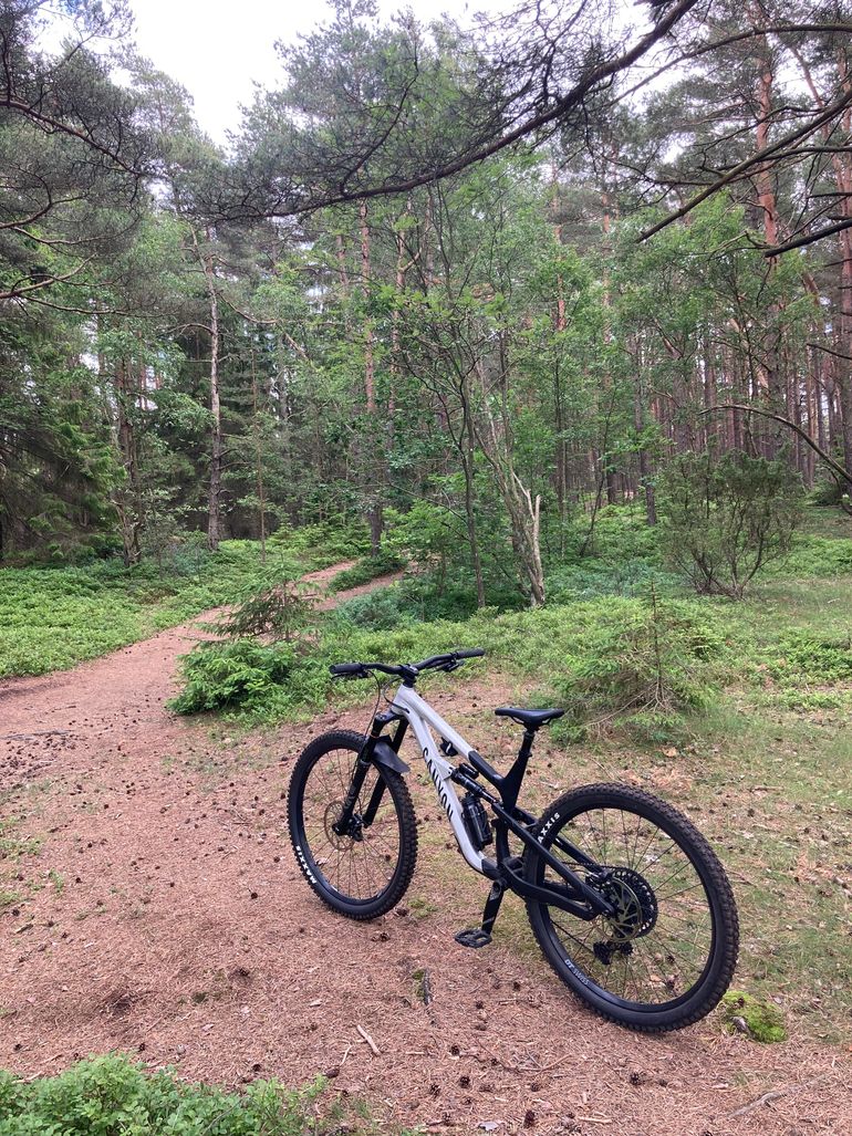 Gebrauchtes Canyon Spectral 29 6 2022 2022 Mountainbike, Hellgrau, 29 — Bild 3 von 3