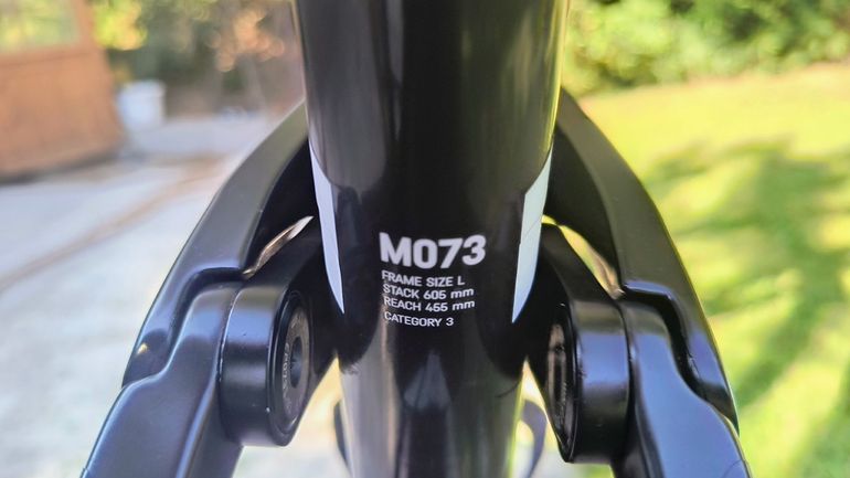 Brugt Canyon Lux CF SL 8.0 2020 2020 Mountainbike — billede 8 af 11