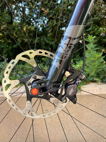 Used Canyon Exceed CF 7 2023 2023 Mountainbike, Light Gray, 29 — image 11 of 24