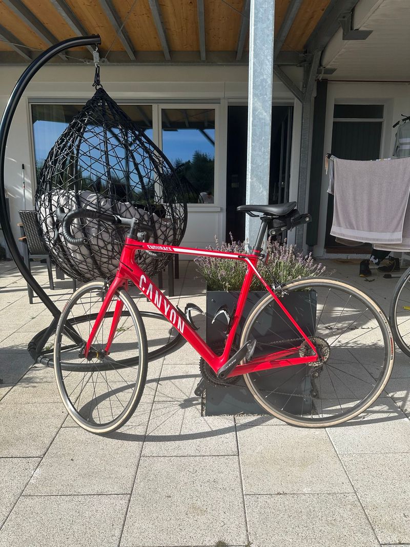 Used Canyon Endurace CF 7.0 2020 2020 Road & Gravel