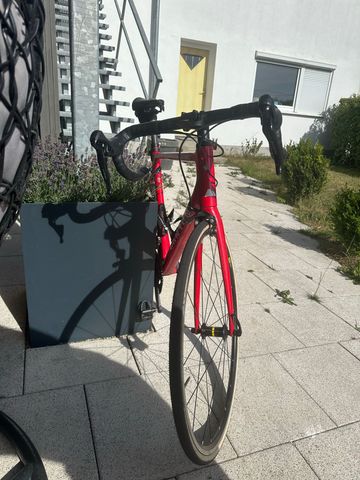 Canyon Endurace CF 7.0 2020 2020 Road & Gravel usato, Rosso — immagine 2 di 5