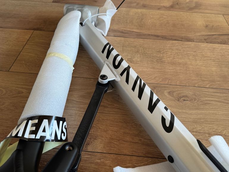 Canyon Spectral 29 AL 5 2024 Frameset 2024 Mountainbike usato, Grigio chiaro — immagine 6 di 11