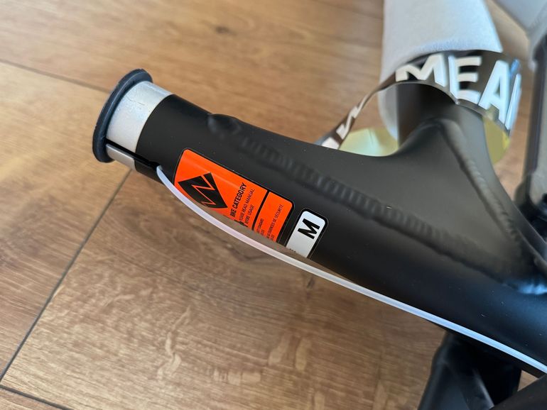 Canyon Spectral 29 AL 5 2024 Frameset 2024 Mountainbike usato, Grigio chiaro — immagine 7 di 11