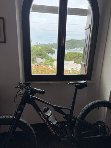 Brugt Cannondale Scalpel 1 Lefty 2025 2025 Mountainbike — billede 2 af 4