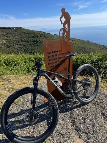 Brugt Cannondale Scalpel 1 Lefty 2025 2025 Mountainbike — billede 4 af 4