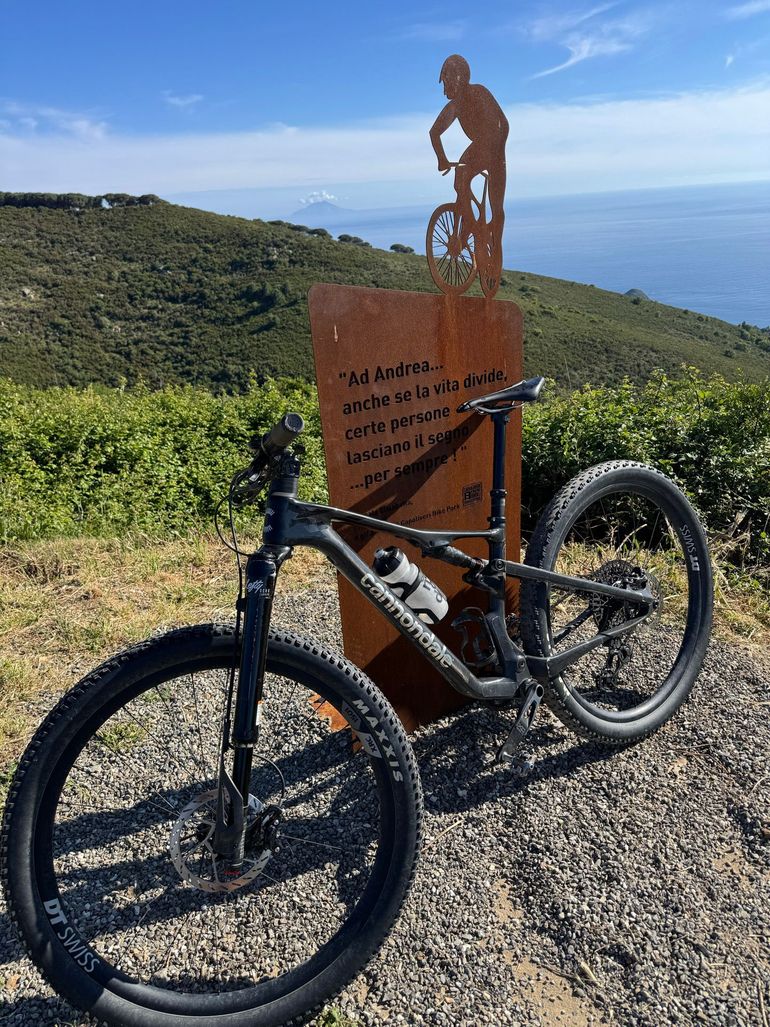 Brugt Cannondale Scalpel 1 Lefty 2025 2025 Mountainbike — billede 4 af 4