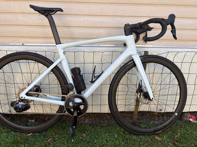 Specialized Tarmac SL7 Expert 2024 2024 Road & Gravel usato