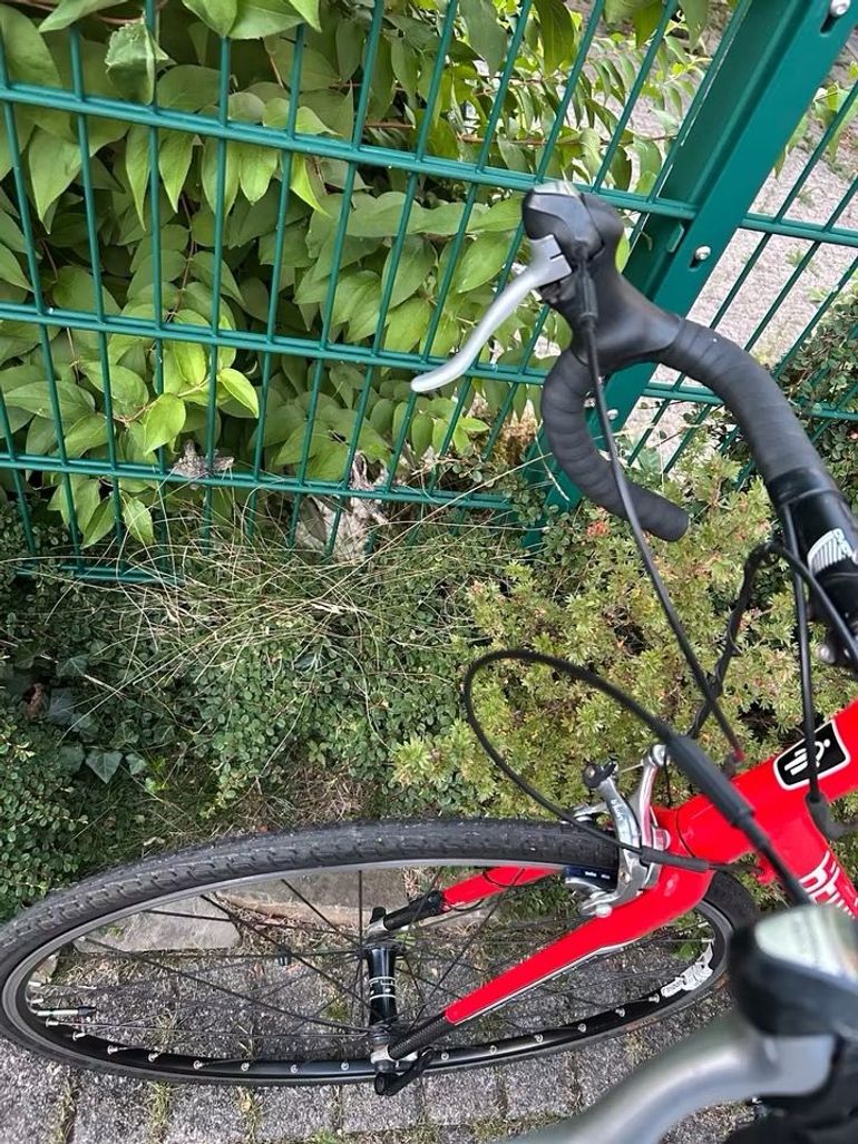 Použité B’TWIN Triban 3 2013 Road & Gravel — obrázek 5 z 5