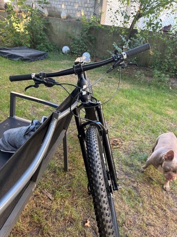 Gebrauchtes CUBE REACTION C:62 ONE 2024 2024 Mountainbike, Schwarz, 29 — Bild 9 von 14