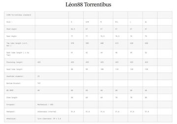 Käytetty Leon Torrentibus Torrentibus Frameset 2024 Mountainbike — kuva 6 / 7