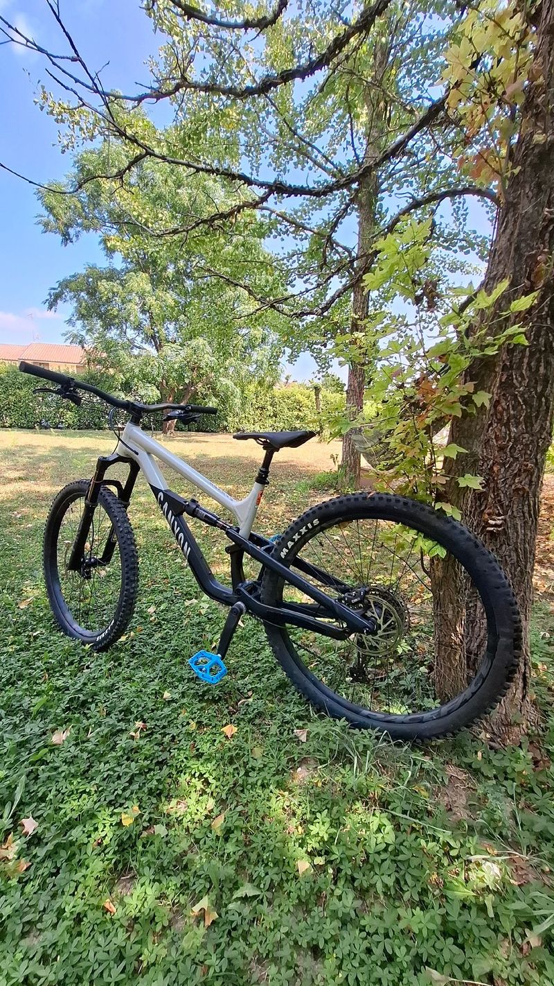 Tweedehands Canyon Spectral 125 AL 5 2024 2024 MTB