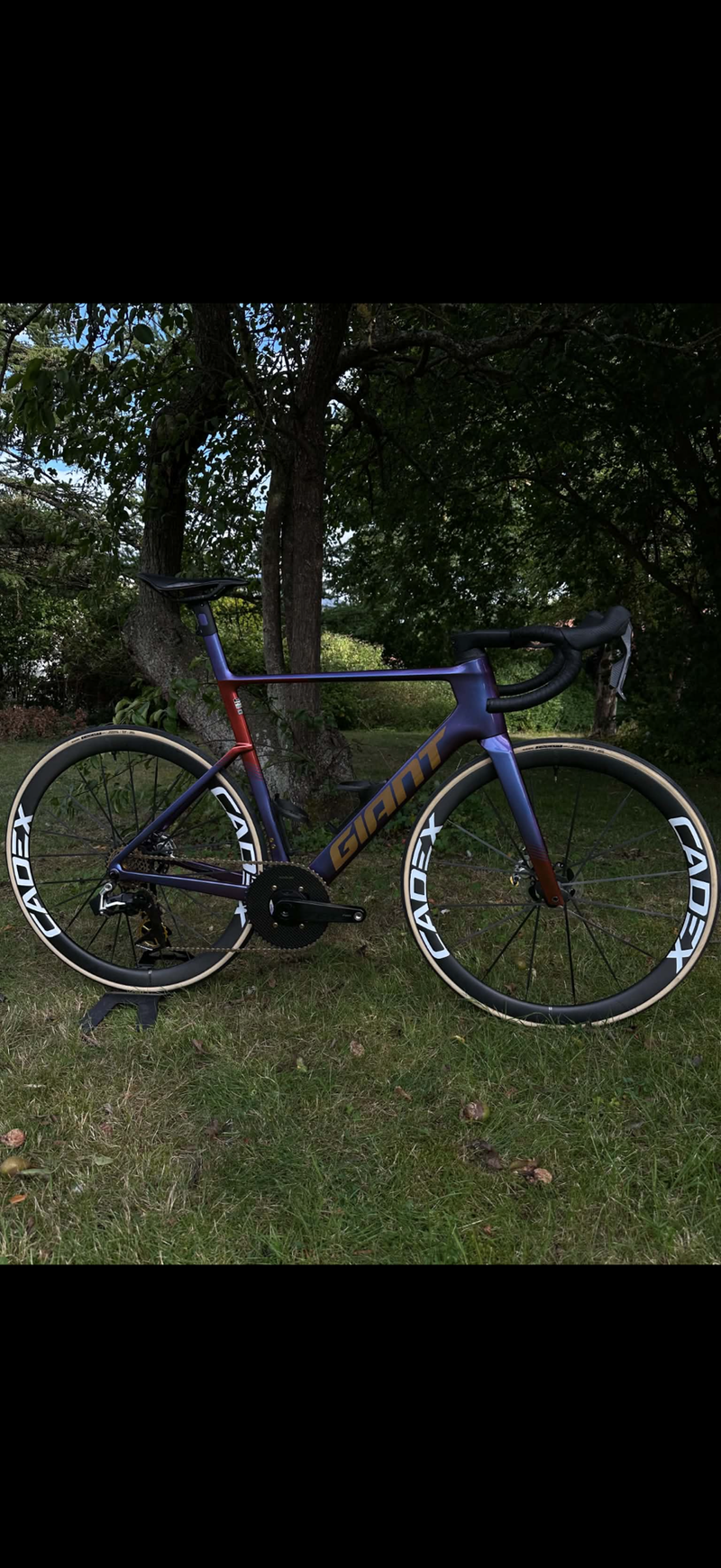 Giant Propel Advanced SL 0-Red 2027 2027 Road & Gravel d'occasion