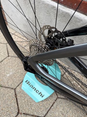 Used Bianchi NEW! Bianchi Oltre Comp/Roadbike/Shimano 105 Di2/Size 53/Velomann Carbon 2025 Road & Gravel, Light Gray — image 10 of 14