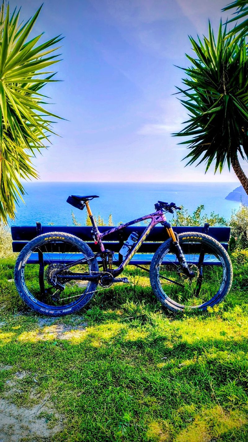Used Giant Anthem Advanced Pro 29 0 2022 2022 MTB