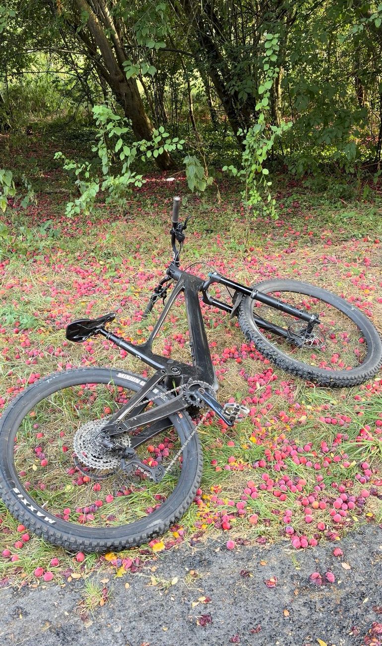 Tweedehands Scott Genius 920 2024 2024 Mountainbike — afbeelding 4 van 7
