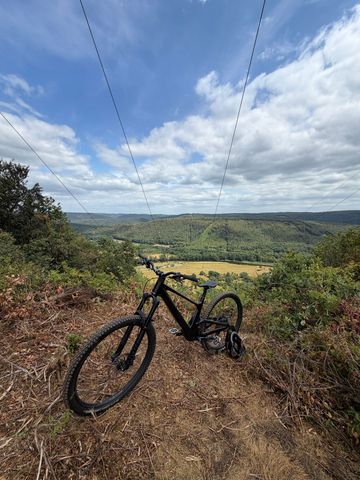Tweedehands Scott Genius 920 2024 2024 Mountainbike — afbeelding 3 van 7