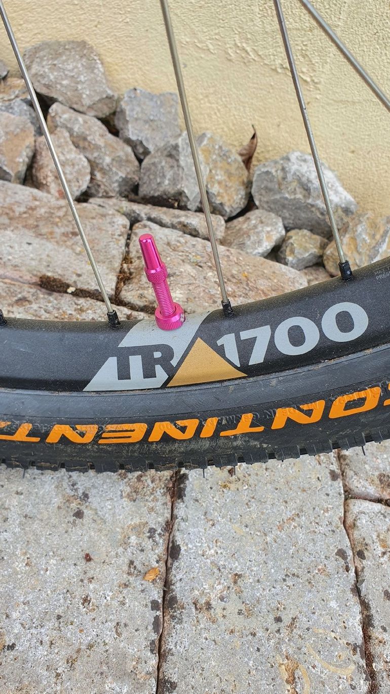 Tweedehands Extention Custom Other 2023 Mountainbike — afbeelding 12 van 16