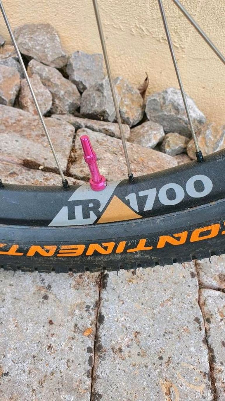 Tweedehands Extention Custom Other 2023 Mountainbike — afbeelding 3 van 16