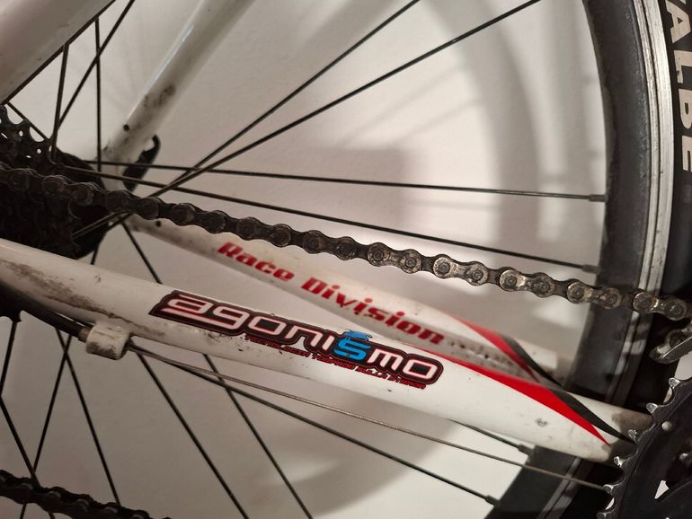 Brugt torpado. Campagnolo 2010 Road & Gravel — billede 5 af 9