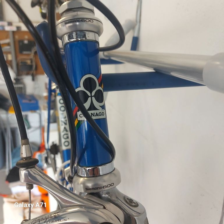Used Colnago retro Mexico Campagnolo 1984 Road & Gravel, Blue — image 5 of 13