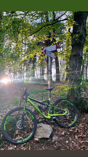 Cannondale Scalpel-Si Team 2017 2017 Mountainbike usato, Verde — immagine 6 di 18