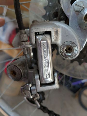 Used Italivega Custom Other 2026 Road & Gravel, Green — image 3 of 8