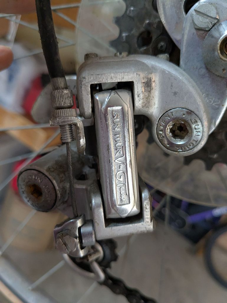 Used Italivega Custom Other 2026 Road & Gravel, Green — image 3 of 8
