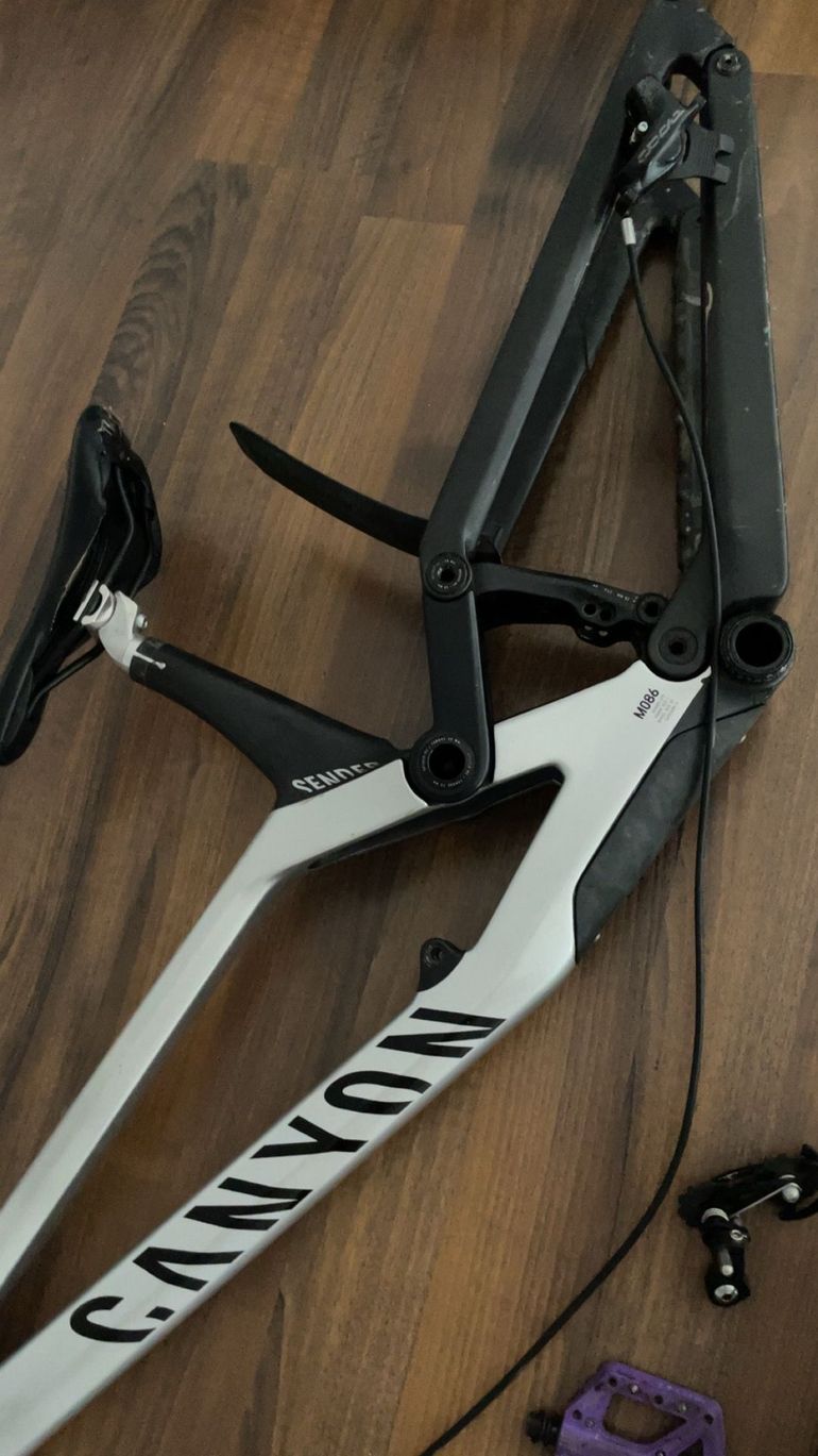 Used Canyon Sender CFR 29 2023 Frameset 2023 Mountainbike, Light Gray, 29 — image 3 of 8
