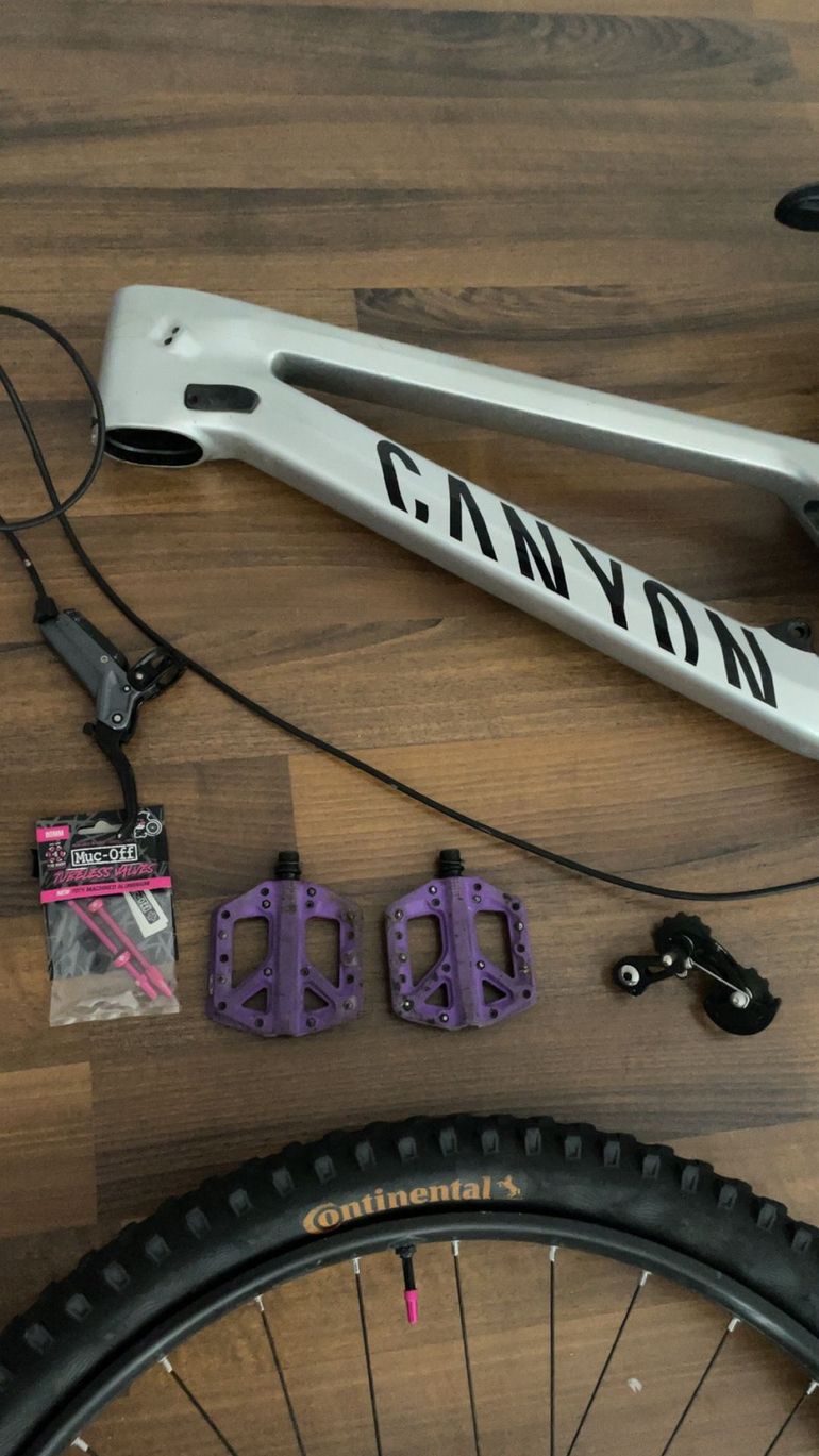 Used Canyon Sender CFR 29 2023 Frameset 2023 Mountainbike, Light Gray, 29 — image 5 of 8