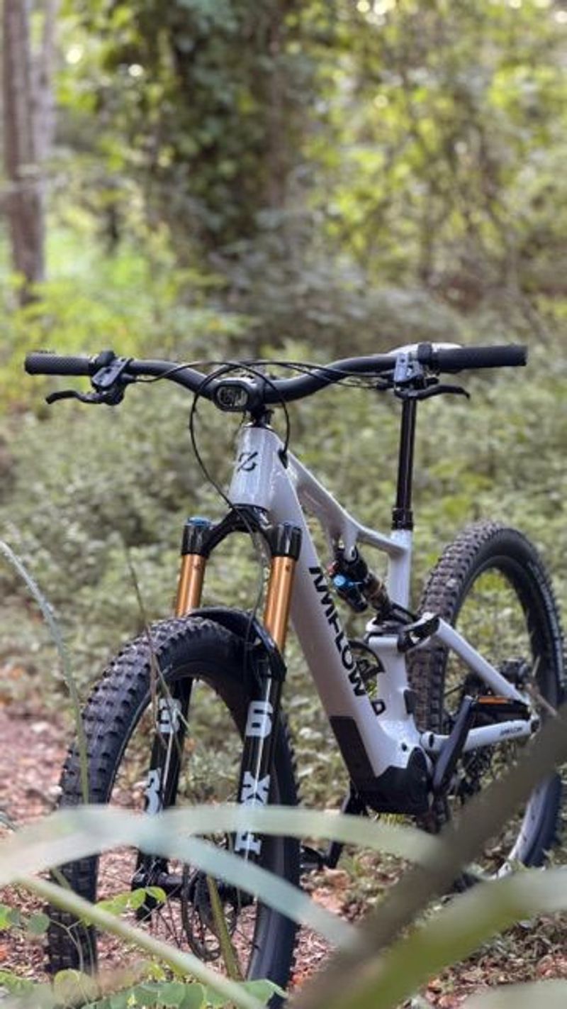 Amflow PX Carbon Pro 2026 MTB usato