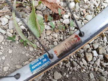 Used Peugeot PX10 1971 Road & Gravel, Blue — image 24 of 34