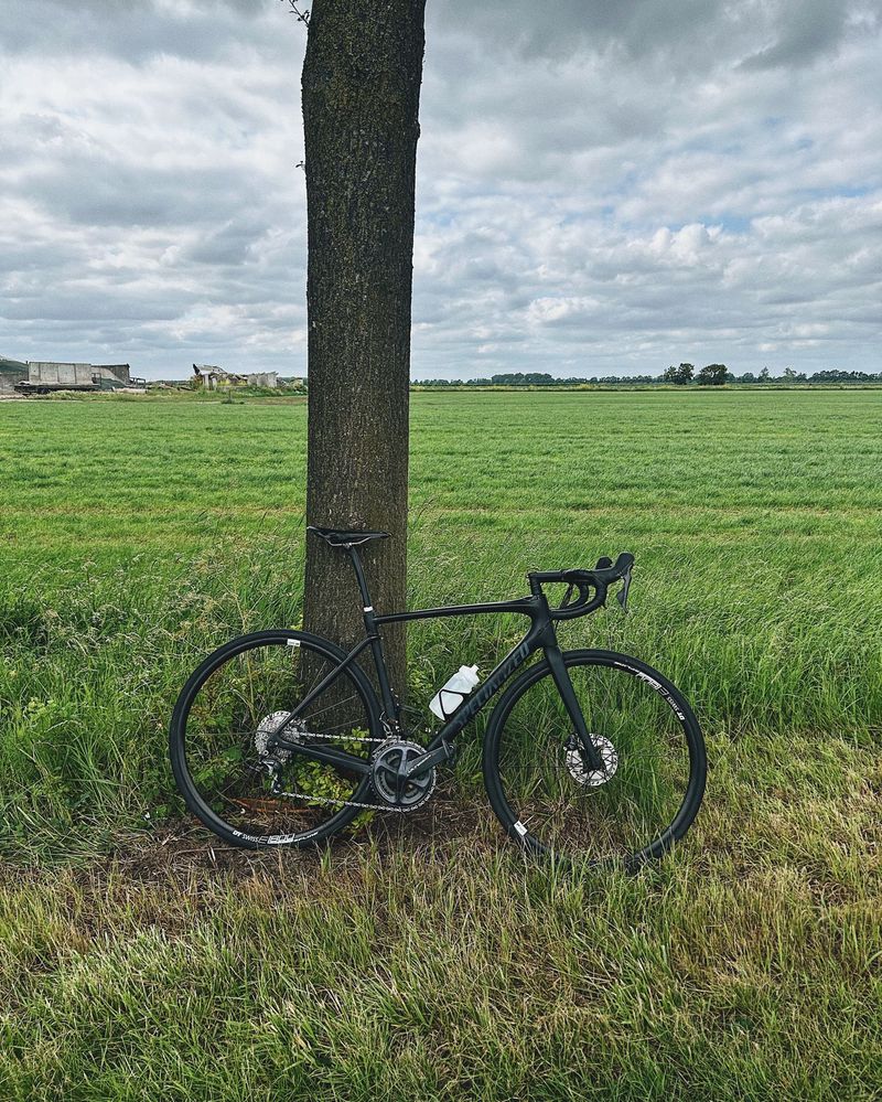 Specialized Roubaix Comp 2018 2018 Road & Gravel d'occasion